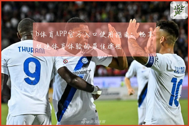 b体育APP官方入口使用指南：畅享极速体育体验的最佳途径