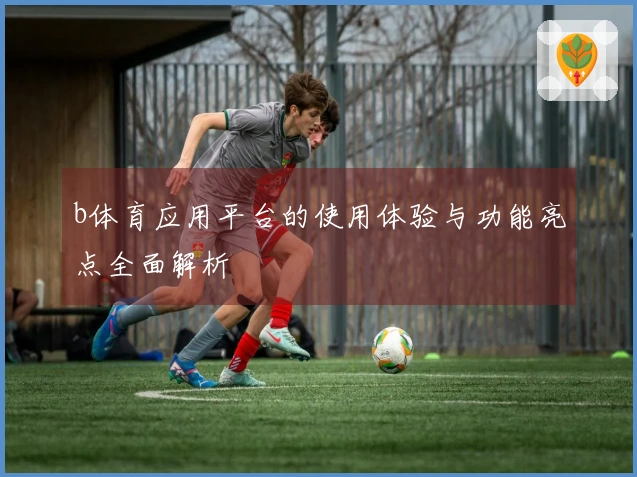 b体育应用平台的使用体验与功能亮点全面解析