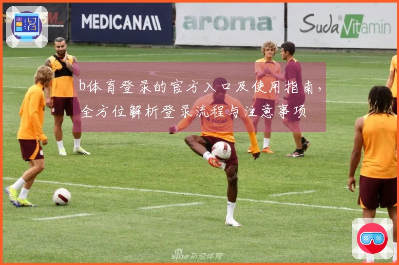 b体育登录的官方入口及使用指南，全方位解析登录流程与注意事项