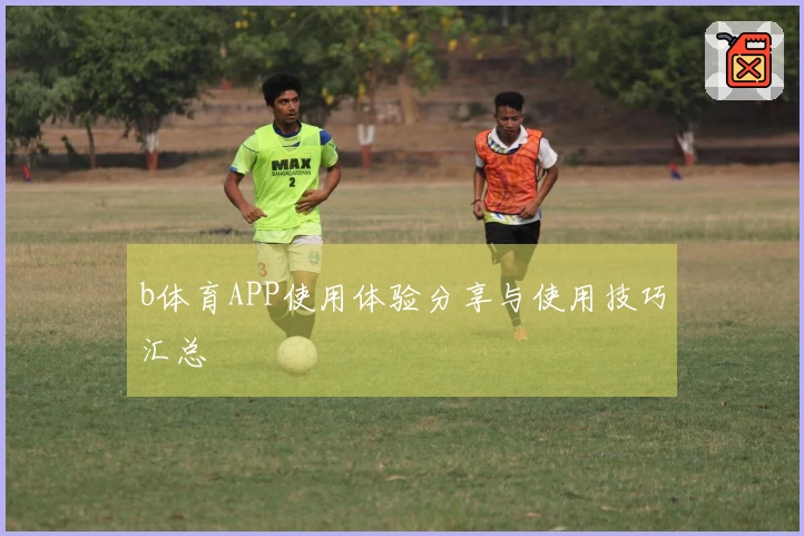 b体育APP使用体验分享与使用技巧汇总